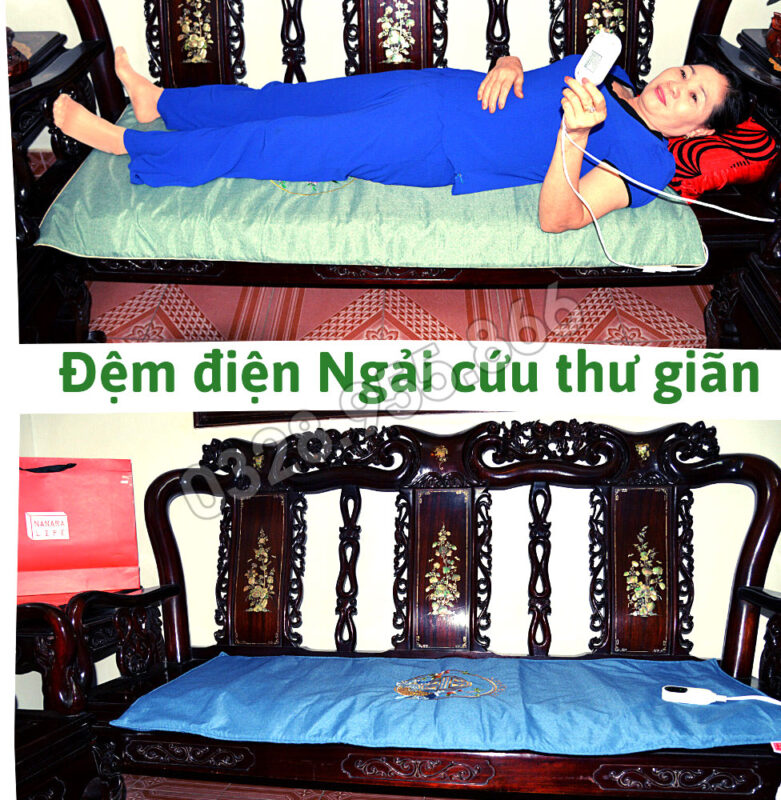 Thảm Đệm Điện Ngải Cứu Thảo Dược Màu Nâu - Sưởi Ấm, Thư Giãn Cơ Thể 9 tham dien ngai cuu minoco 1 1