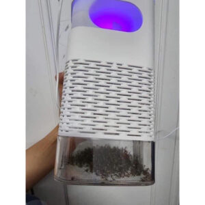 den bat muoi nhat ban 5