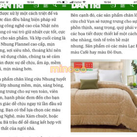 chan long cuu tren bao dan tri 2