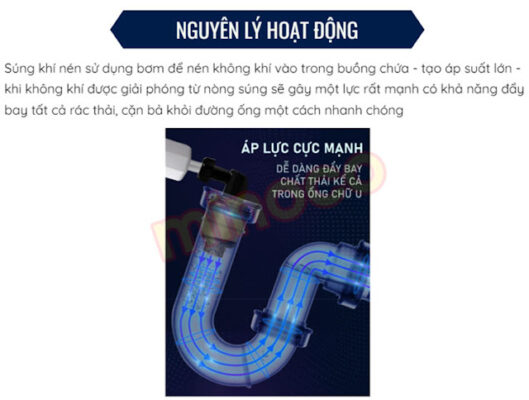 sung thong bon cau 4