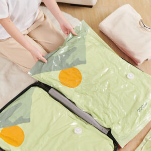 431335343 889240569882458 520781356717061179 n